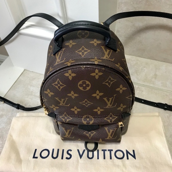 Louis Vuitton Palm Springs Mini Backpack - Picture 3 of 8